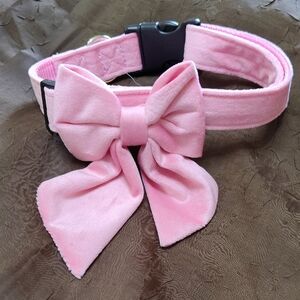Pink Bow Dog Collar